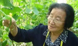 娱乐圈吃瓜呆头鹅是谁啊,这位神秘人物是谁？